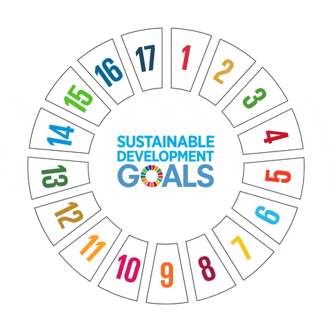 Module Intro: Introduction to Sustainability